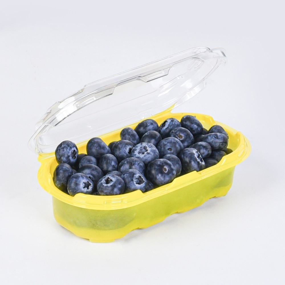 Small Fruit Plastic Clamshell Container