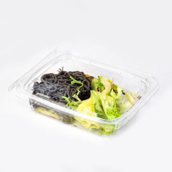 Rectangular Clear Plastic Salad Container