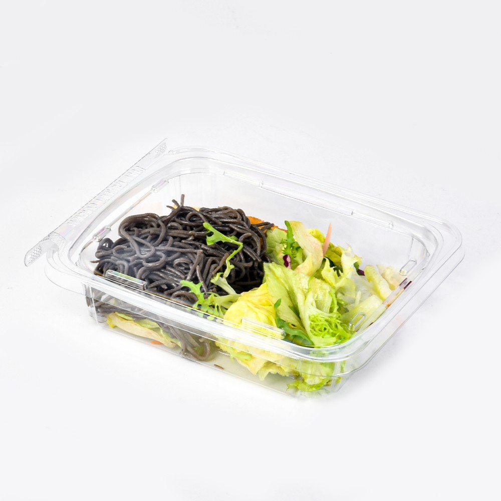 Rectangular Clear Plastic Salad Container