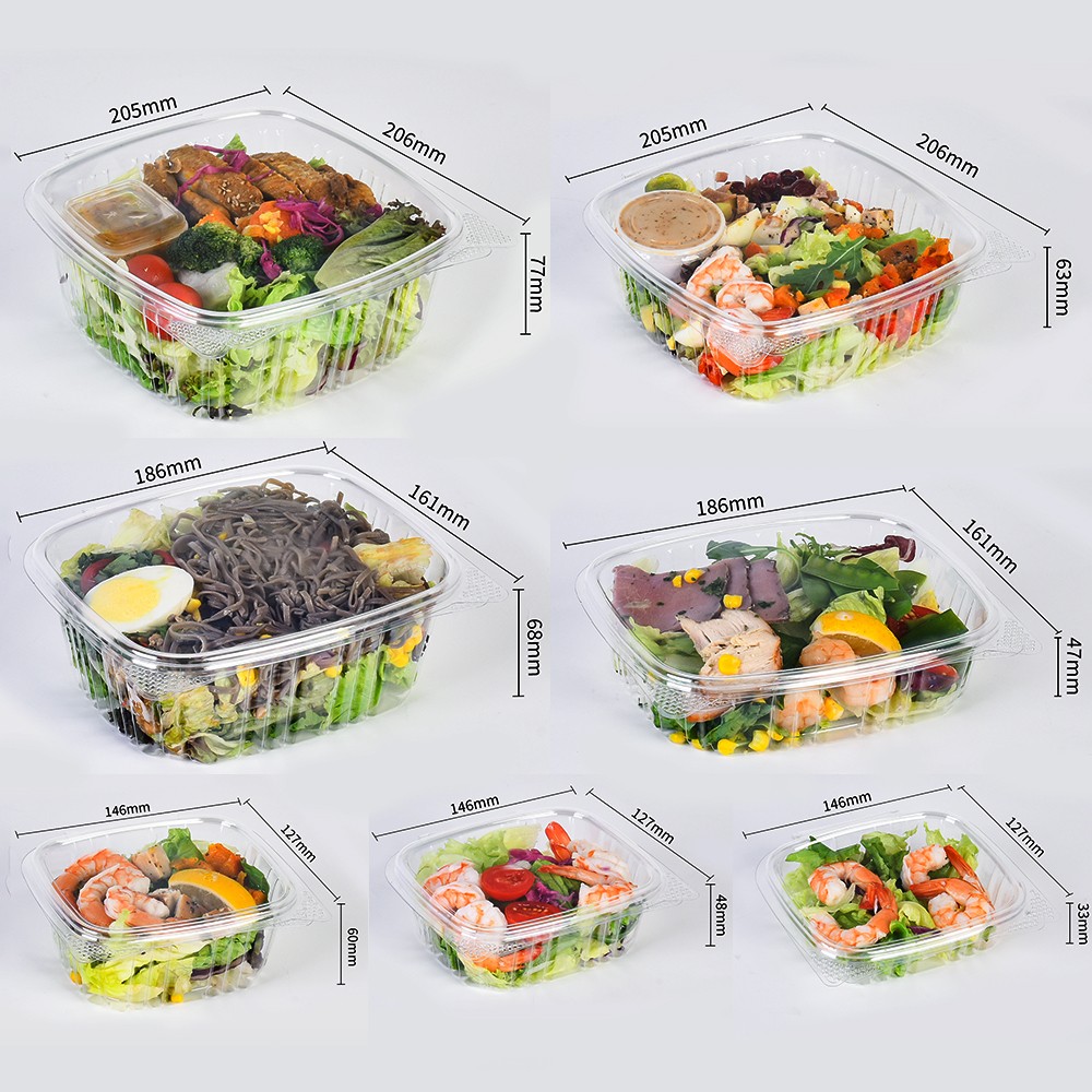 Rectangular Clear Plastic Salad Container - Image 3