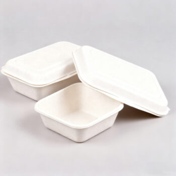 Square Sugarcane Bagasse Containers with Clear Lids