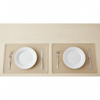 Premium Beige Placemat Set for Modern Table Settings