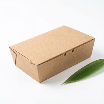 Eco-Friendly Kraft Sushi Box (Windowless)