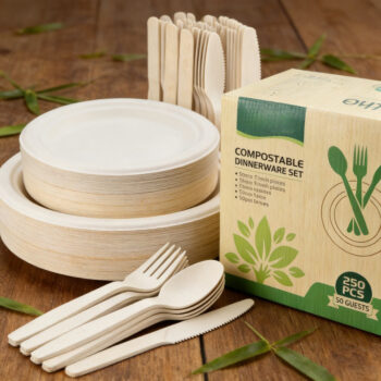 Eco-Friendly Disposable Dinnerware Set