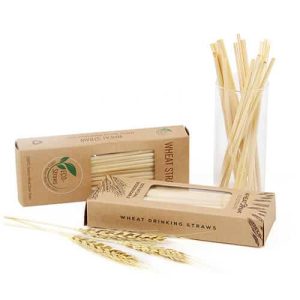 Drinking Straws