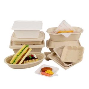 Sugarcane Bagasse Dinnerware Set